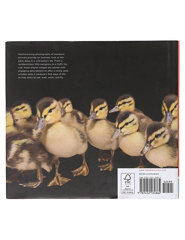 Wild Babies - Traer Scott - Tietokirjat ja oppaat - 10105640071 - 1