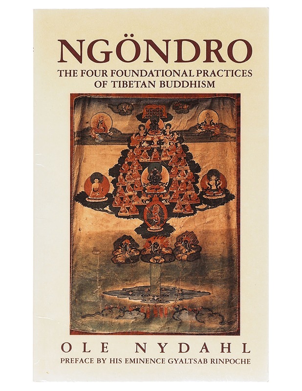 Ngondro: The Four Foundational Practices of Tibetan Buddhism - Lama Ole Nydahl - Tietokirjat ja oppaat - 10105640245 - 0