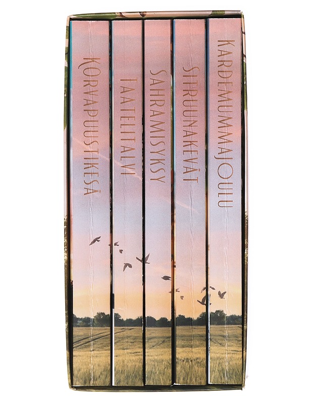 Kahvila Koivu - Maija Kajanto - Romaanit ja novellit - 10105640265 - 1