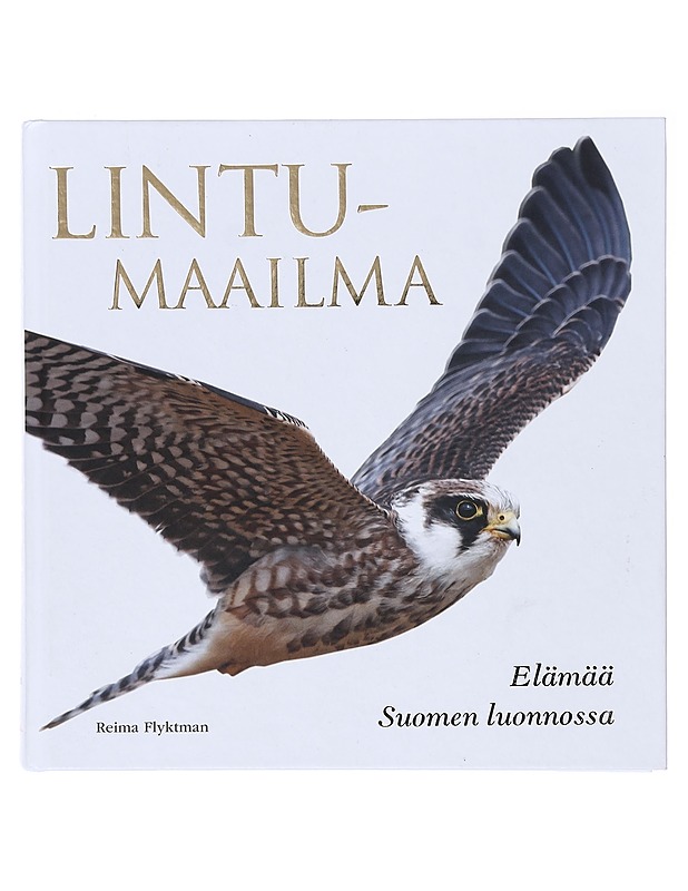 Lintumaailma - Reima Flyktman - Tietokirjat ja oppaat - 10105641107 - 0