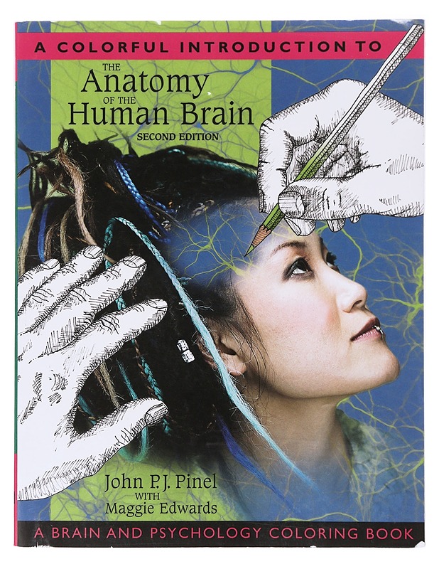 The anatomy of the human brain - Pinel, John P. J. - Tietokirjat ja oppaat - 10105642030 - 0