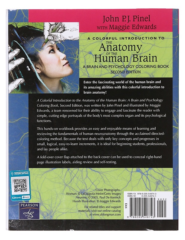 The anatomy of the human brain - Pinel, John P. J. - Tietokirjat ja oppaat - 10105642030 - 1