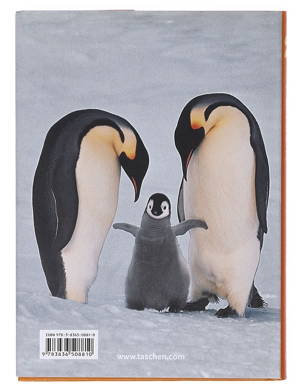 Penguin - Lanting, Frans - Tietokirjat ja oppaat - 10105642118 - 1