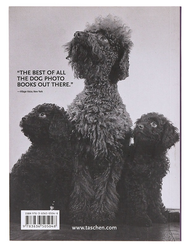 1000 dogs = 1000 Hunde = 1000 ciens - Merritt, Raymond W. - Tietokirjat ja oppaat - 10105642648 - 1