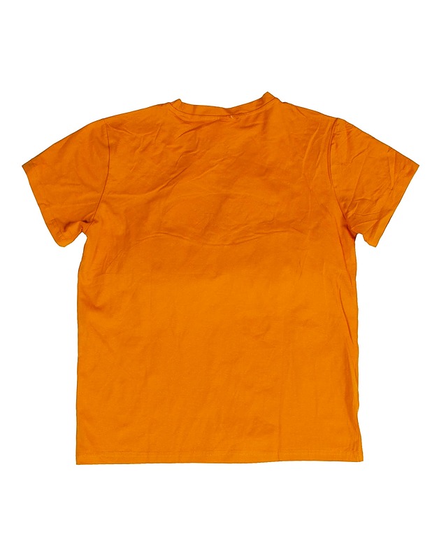 Lorax t-paita, L - Naisten paidat ja topit - 10105642860 - 1