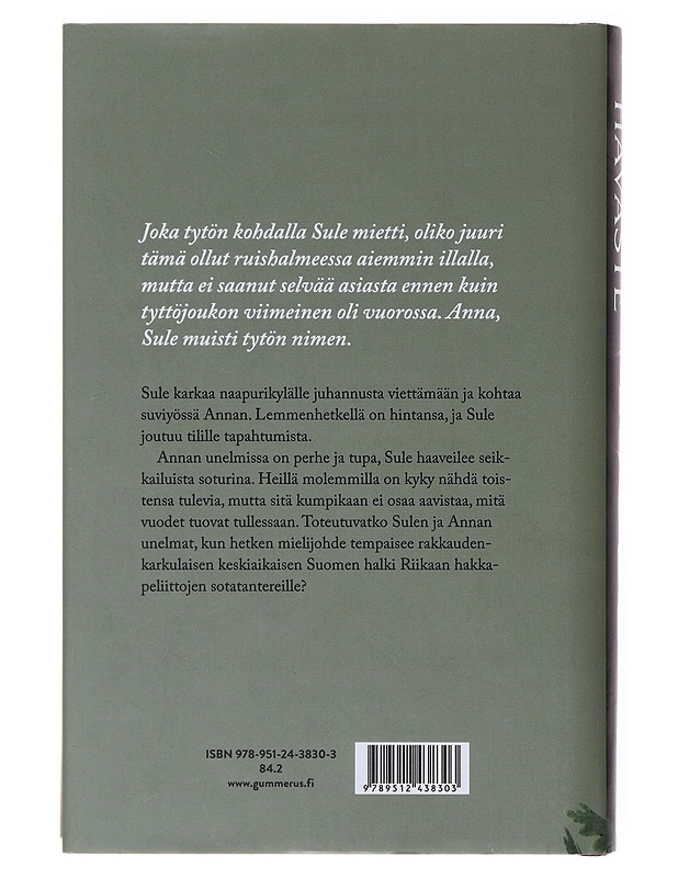 Luode - Paula Havaste - Romaanit ja novellit - 10105643018 - 1