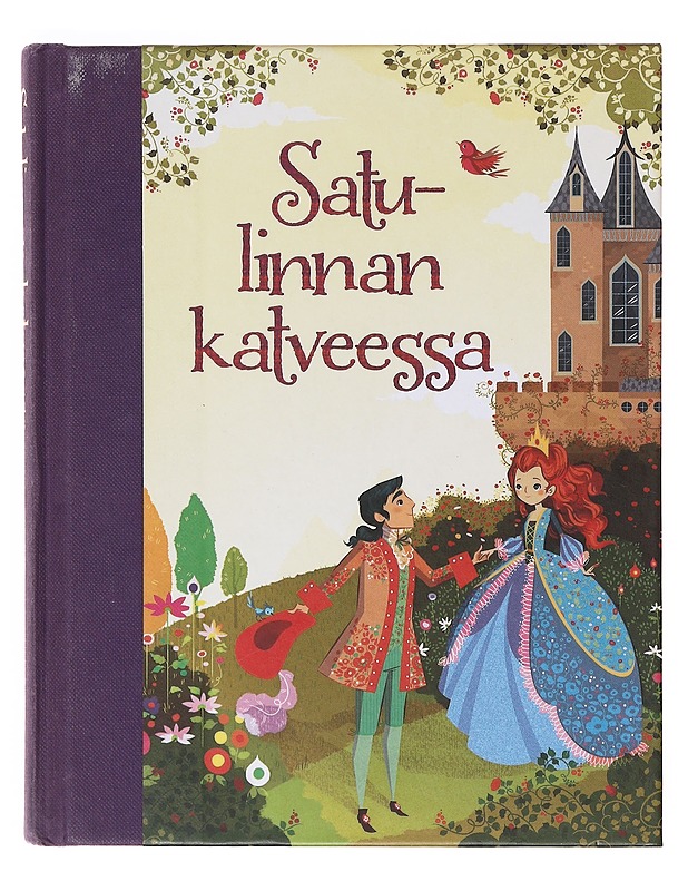 Satulinnan katveessa - Mairi Mackinnon - Lastenkirjat - 10105643032 - 0