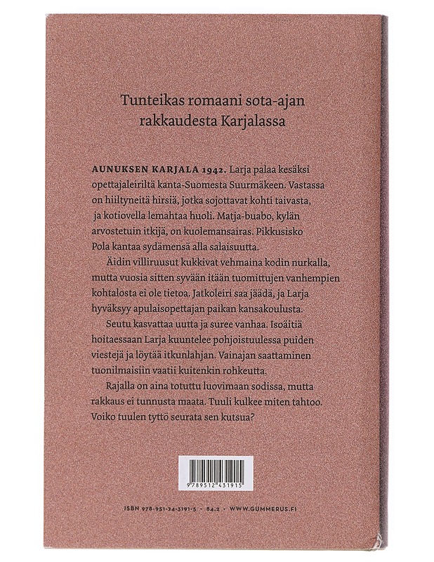 Itki toisenkin - Merja Mäki - Romaanit ja novellit - 10105643320 - 1