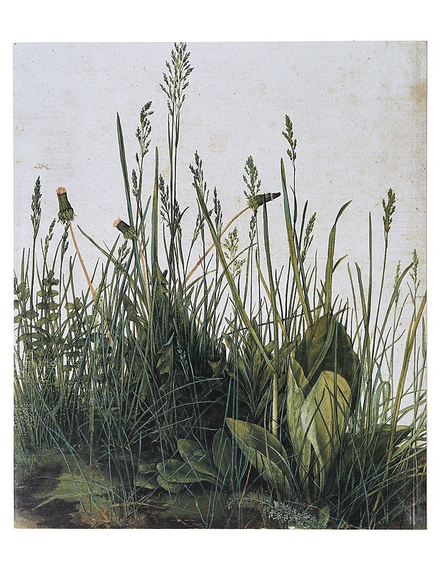 Albrecht Dürer - Klaus Albrecht Schröde - Elämäkerrat ja muistelmat - 10105643395 - 1