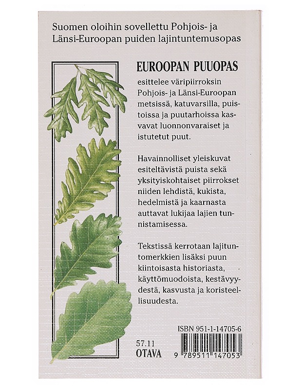 Euroopan puuopas - Mitchell, Alan - Tietokirjat ja oppaat - 10105643895 - 1