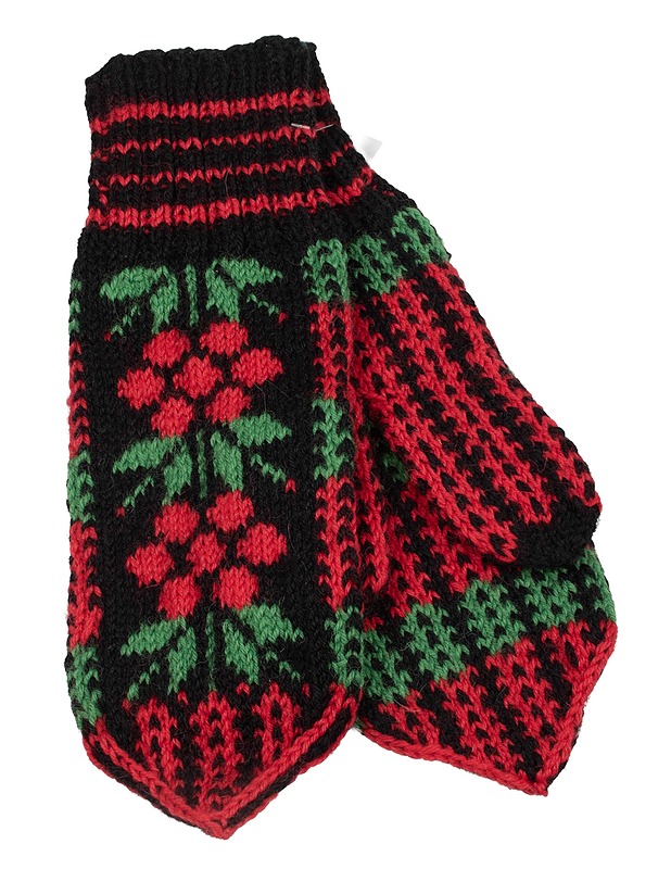 Moniväriset lapaset - Käsineet - 10105645237 - 0