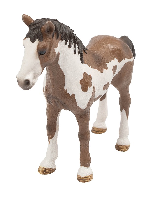 SCHLEICH Pinto-nuorikko - Lasten lelut - 10105647171 - 0