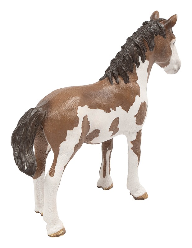 SCHLEICH Pinto-nuorikko - Lasten lelut - 10105647171 - 1