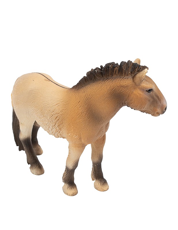 SCHLEICH Przewalskin hevonen tamma - Lasten lelut - 10105647174 - 0