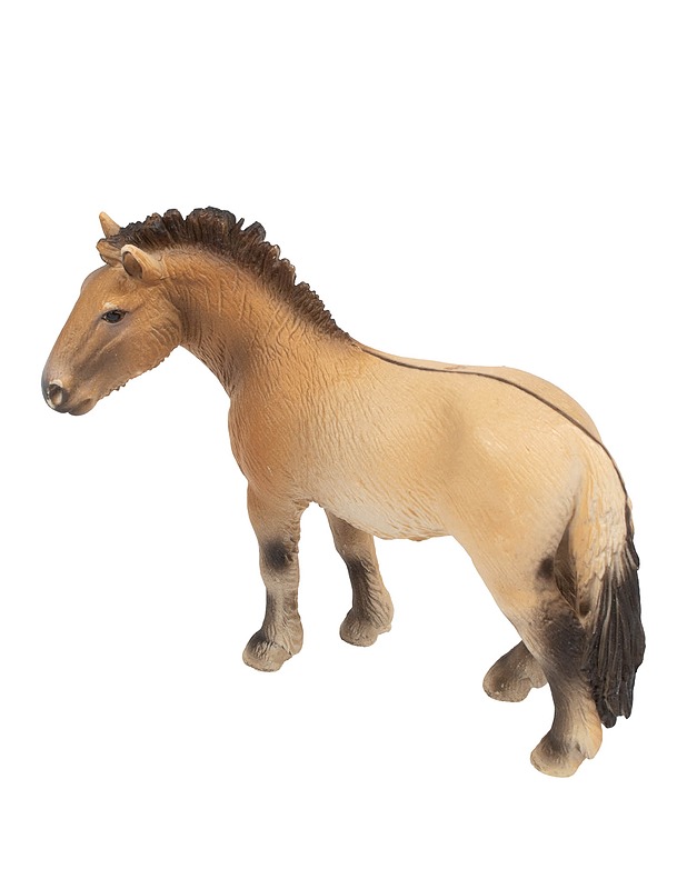 SCHLEICH Przewalskin hevonen tamma - Lasten lelut - 10105647174 - 1