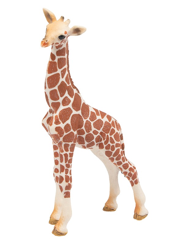 SCHLEICH Wild life kirahvinpoikanen - Lasten lelut - 10105647352 - 0