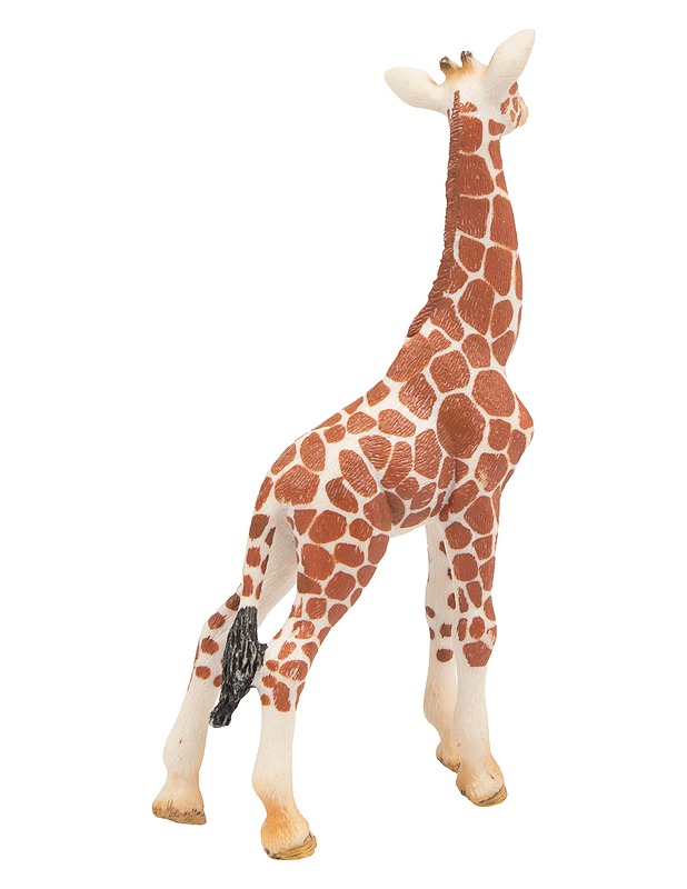 SCHLEICH Wild life kirahvinpoikanen - Lasten lelut - 10105647352 - 1
