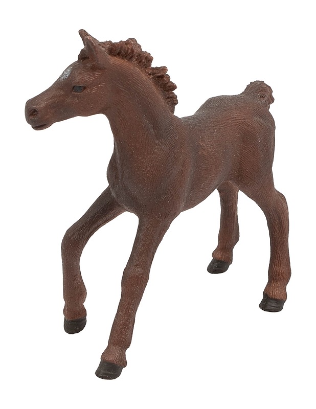 SCHLEICH Englannintäysverisen hevosen varsa - Lasten lelut - 10105647365 - 0