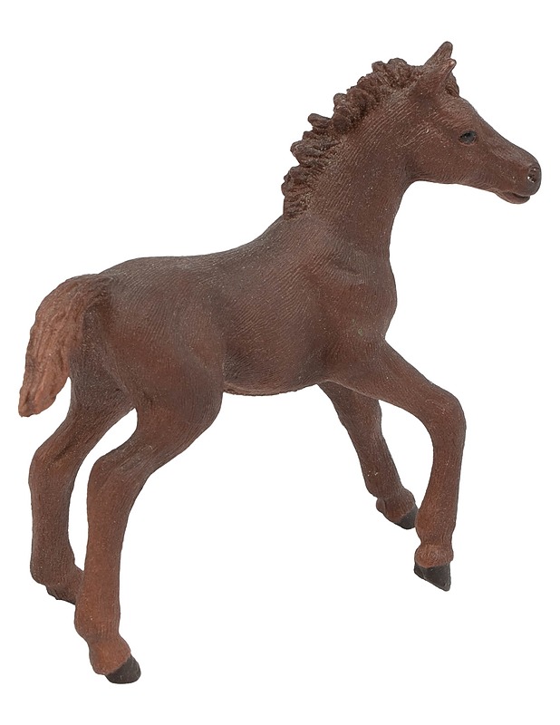 SCHLEICH Englannintäysverisen hevosen varsa - Lasten lelut - 10105647365 - 1