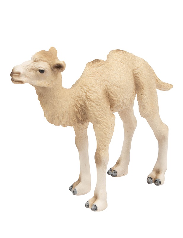 SCHLEICH kaksikyttyräisen kamelin poikanen - Lasten lelut - 10105647372 - 0