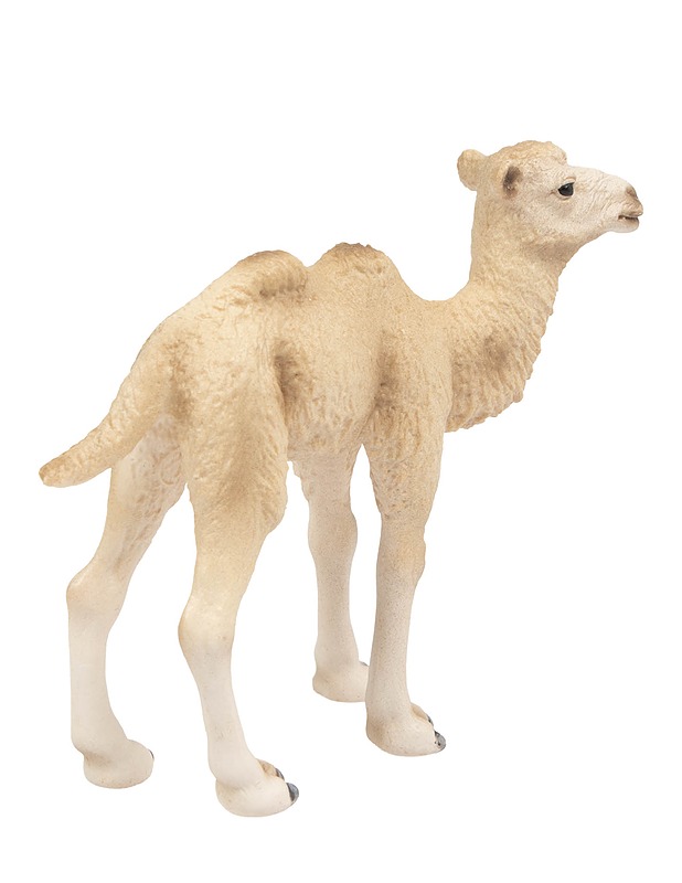 SCHLEICH kaksikyttyräisen kamelin poikanen - Lasten lelut - 10105647372 - 1