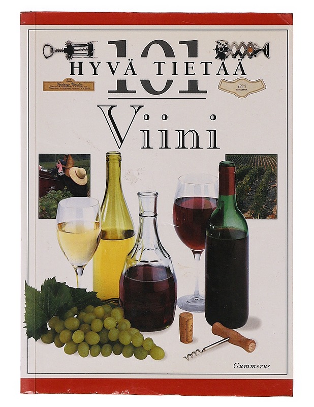 Viini - Stevenson, Tom - Harrastekirjat - 10105647634 - 0